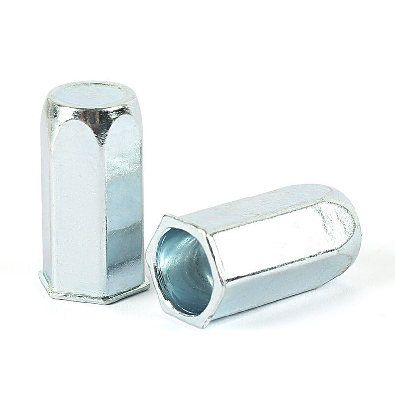 Full Hex Closed End Blind Rivet Nut Zinc Plated Carbon Steel Small Recessed Design