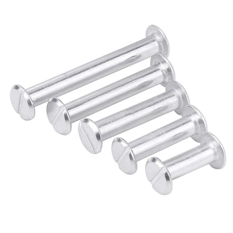 Passivated Grade 4.8/ 8.8/ 10.9/ 12.9 Stainless Steel Chicago Screw for Leather Manufacture