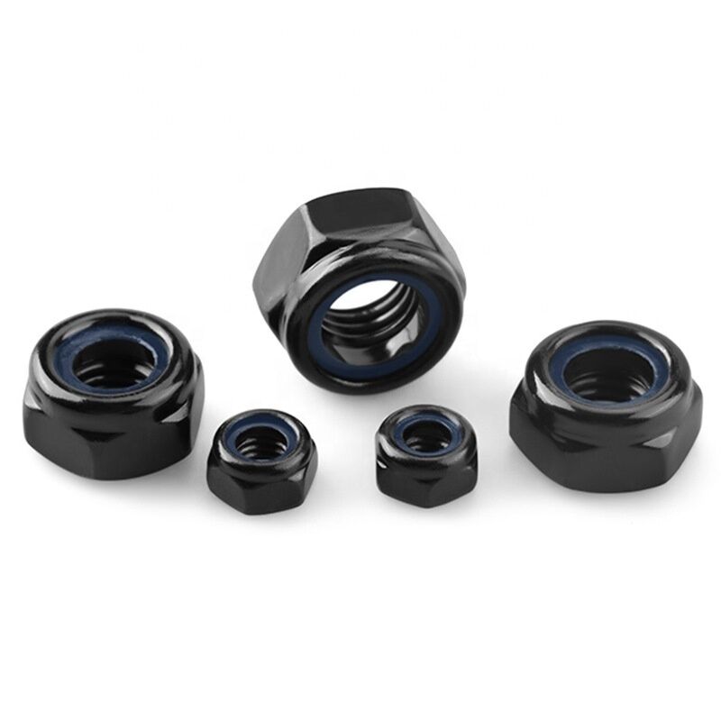 Black Oxide Galvanized Nylon Insert Lock Nut M8 Nylon Lock Nut Hex Nut for Healthcare DIN985 Standard Sample Provided