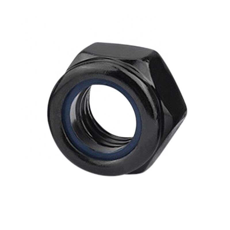 Black Oxide Galvanized Nylon Insert Lock Nut M8 Nylon Lock Nut Hex Nut for Healthcare DIN985 Standard Sample Provided