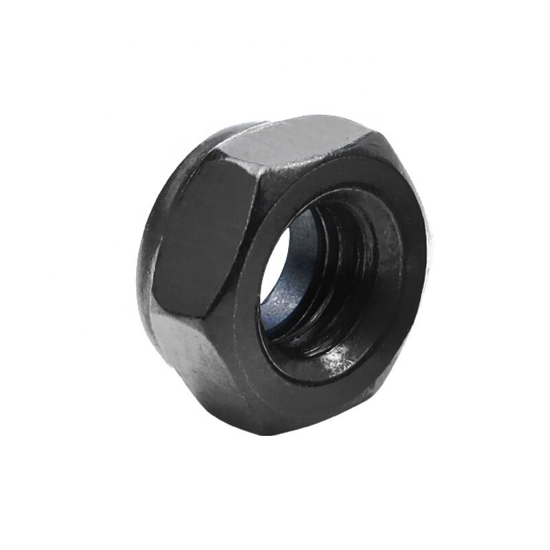 Black Oxide Galvanized Nylon Insert Lock Nut M8 Nylon Lock Nut Hex Nut for Healthcare DIN985 Standard Sample Provided