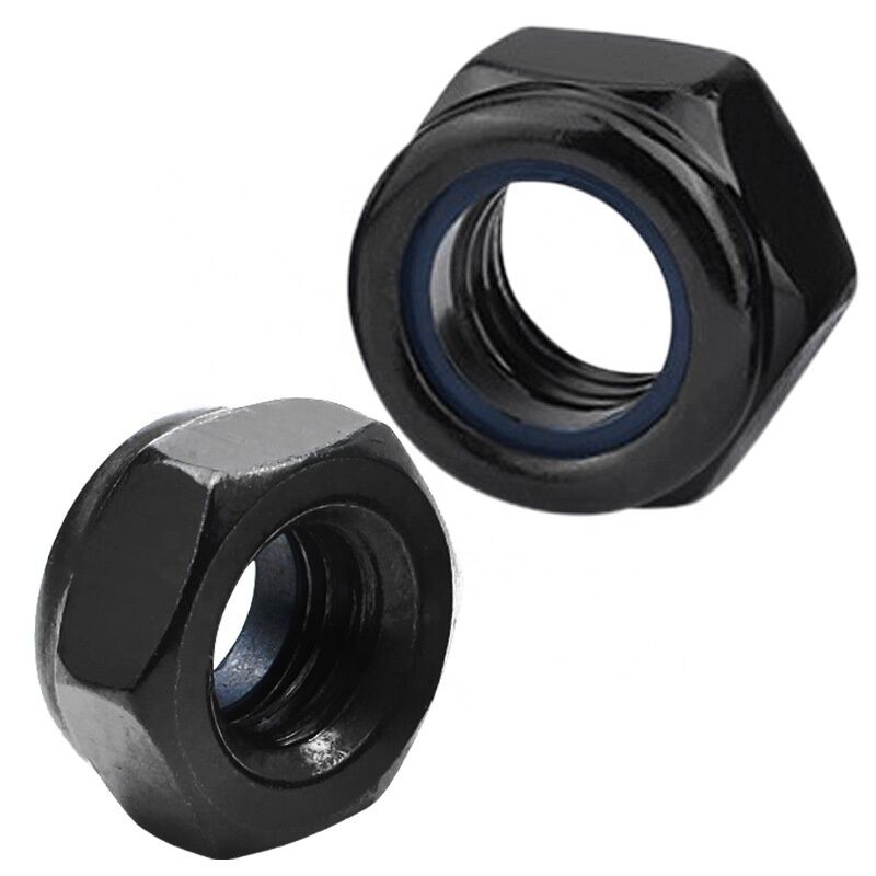 Black Oxide Galvanized Nylon Insert Lock Nut M8 Nylon Lock Nut Hex Nut for Healthcare DIN985 Standard Sample Provided